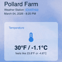 A weather report webpage.